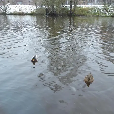 At The East Side, Close To Center